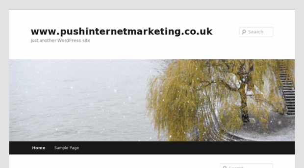 pushinternetmarketing.co.uk