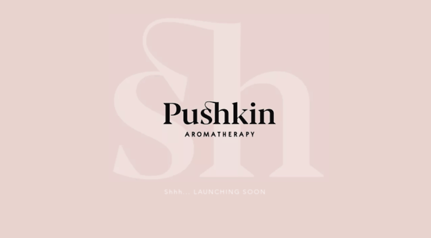 pushkinstudio.com