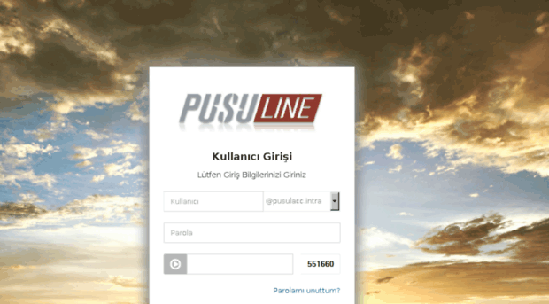 pusuline.pusulacc.com.tr