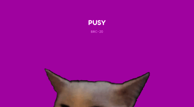 pusy.io