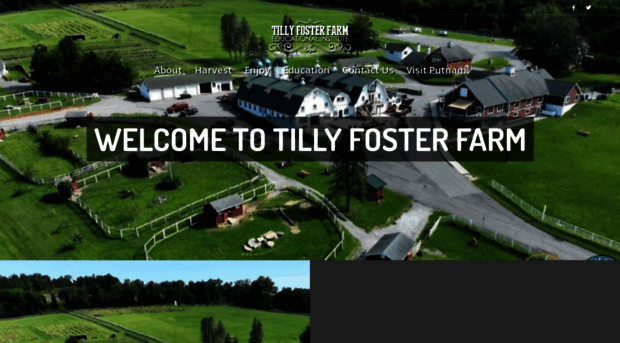 putnamtillyfoster.com