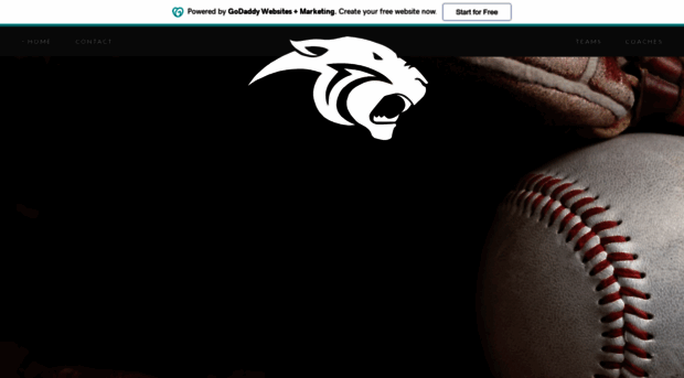 puttyhillbaseball.com