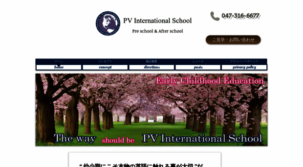 pvischool.com