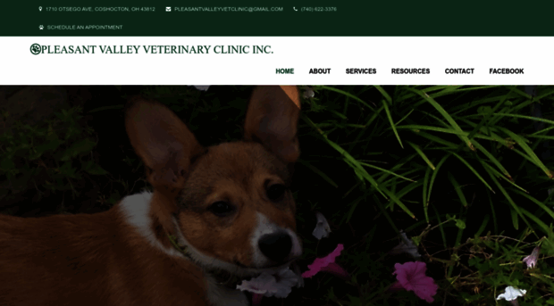 pvvetclinic.com