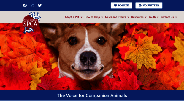 pwspca.org