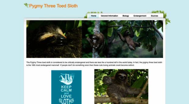 pygmy3sloth.weebly.com