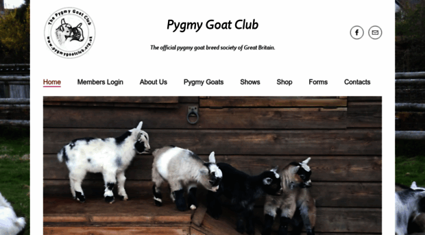 pygmygoatclub.org