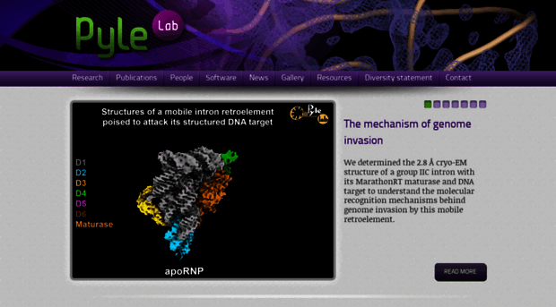 pylelab.org