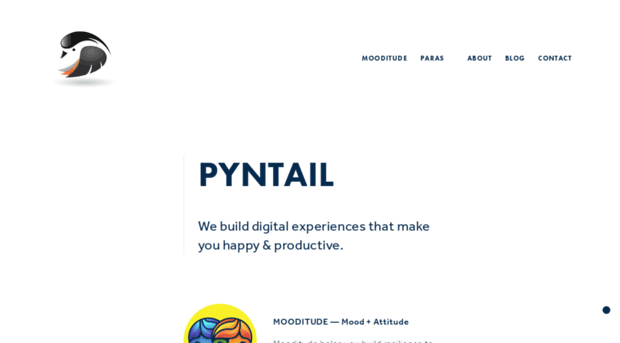 pyntail.com