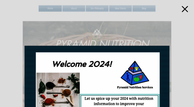 pyramidnutritionservices.com