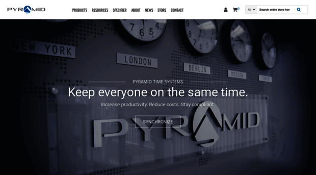 pyramidtimesystems.com