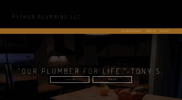 pythonplumbingstl.com