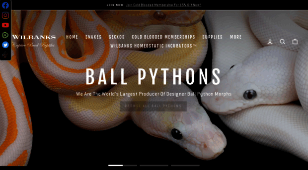 pythonregius.com
