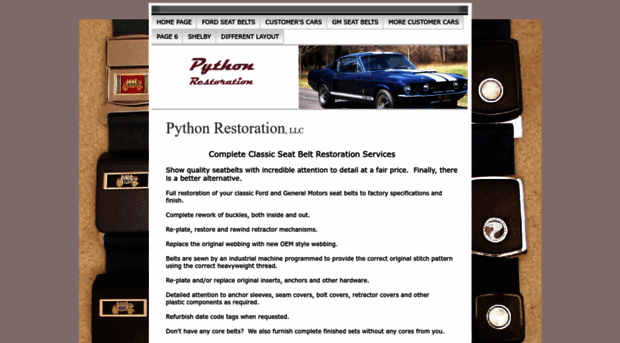 pythonrestoration.com