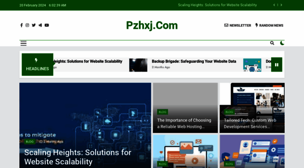 pzhxj.com