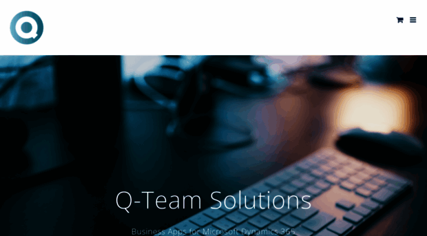 q-teamsolutions.com