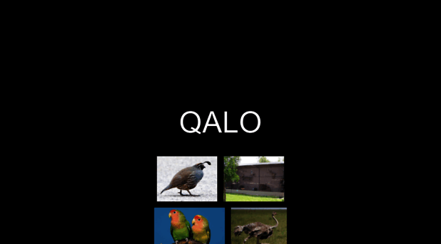 qalo.carrd.co