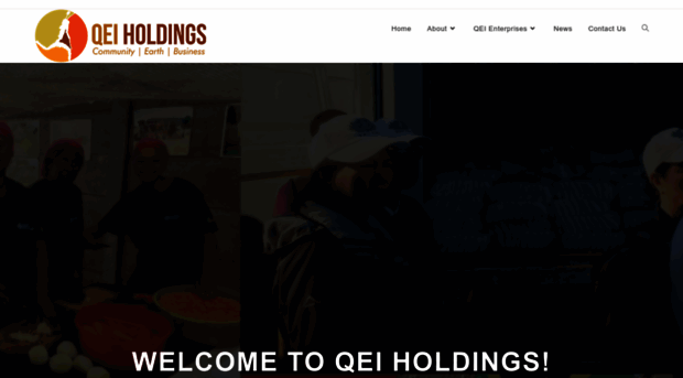 qeiholdings.co.za