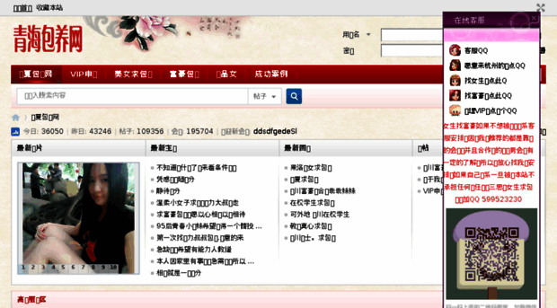 qinghaibaoyang.com