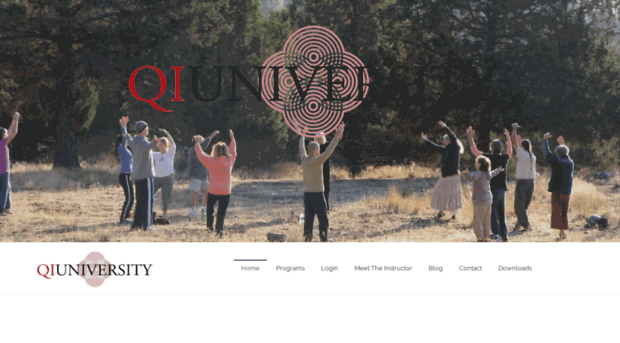 qiuniversity.com