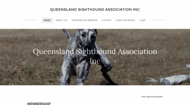 qldsighthoundassociation.com