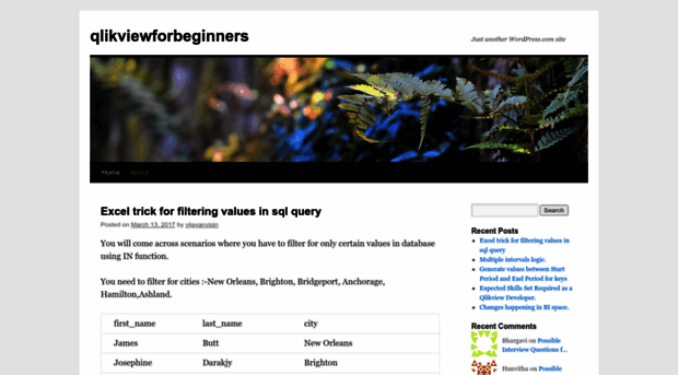 qlikviewforbeginners.wordpress.com