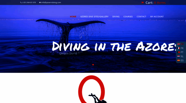 qmanndiving.com