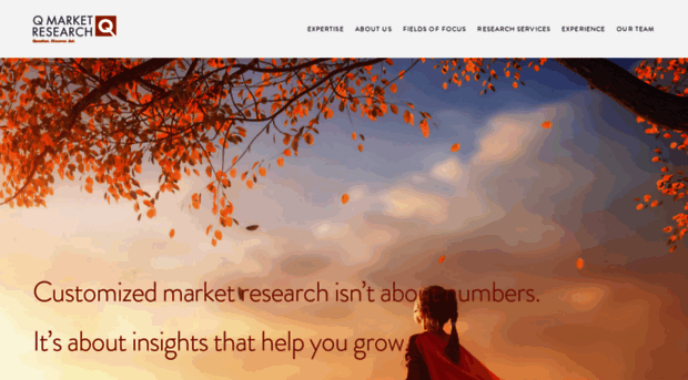 qmarketresearch.com