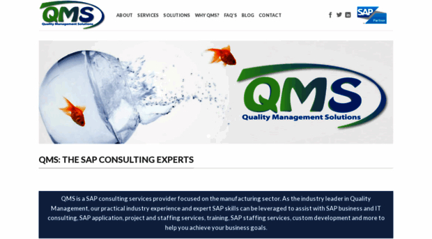 qmsinc.com