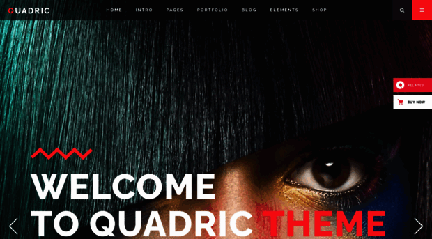 quadric.edge-themes.com