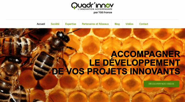 quadrinnov.com