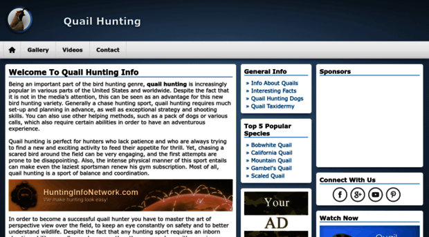 quailhuntinginfo.com