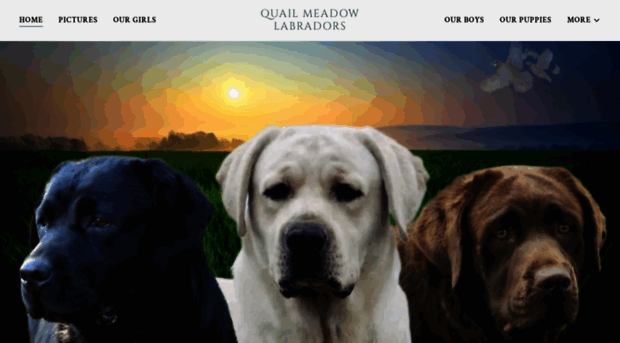 quailmeadowlabs.com