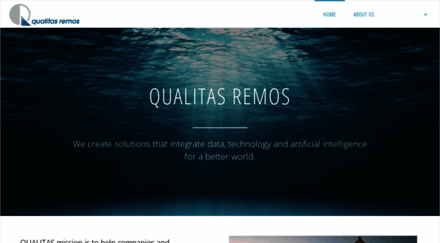 qualitasremos.com