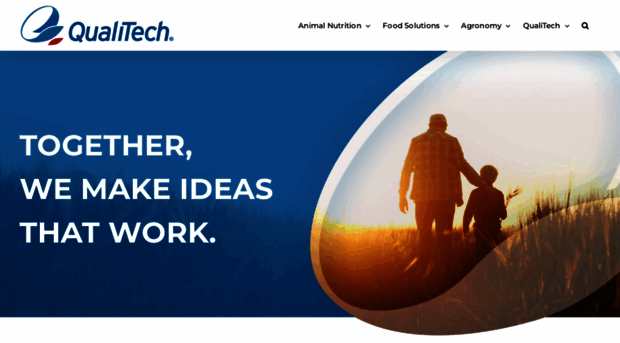 qualitechco.com