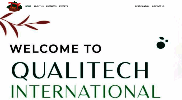 qualitechinternational.com