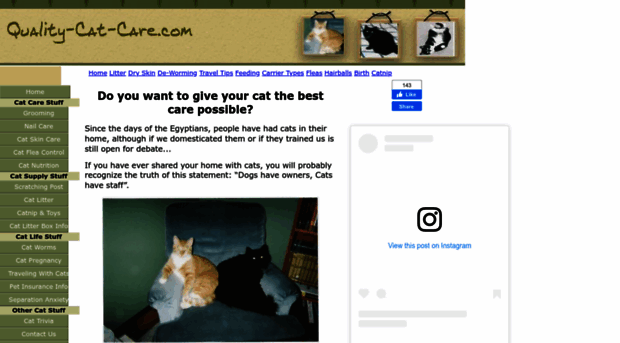 quality-cat-care.com