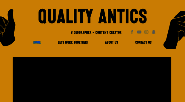 qualityantics.co.nz