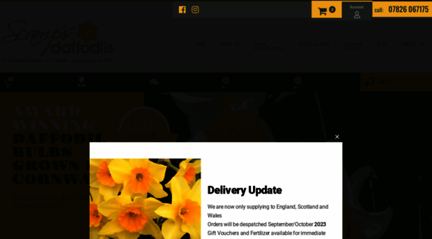 qualitydaffodils.com