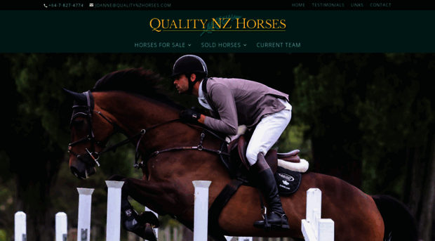 qualitynzhorses.com