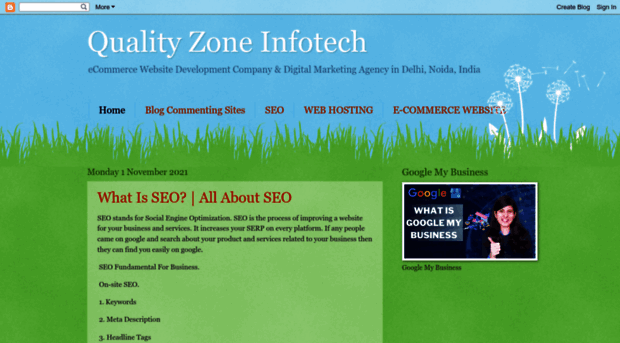 qualityzoneinfotech.blogspot.com