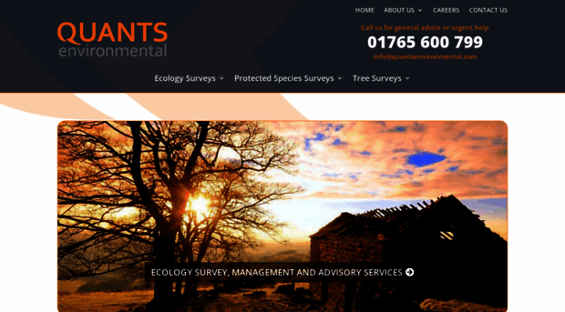 quantsenvironmental.com