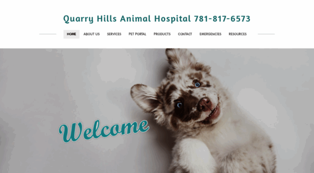 quarryhillsvet.com