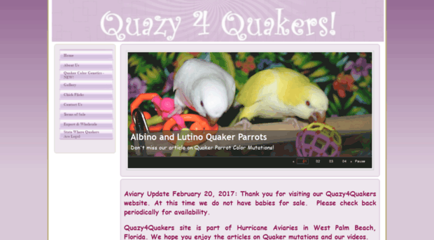 quazy4quakers.com