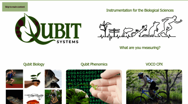 qubitsystems.com