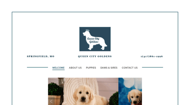 queencitygoldens.com