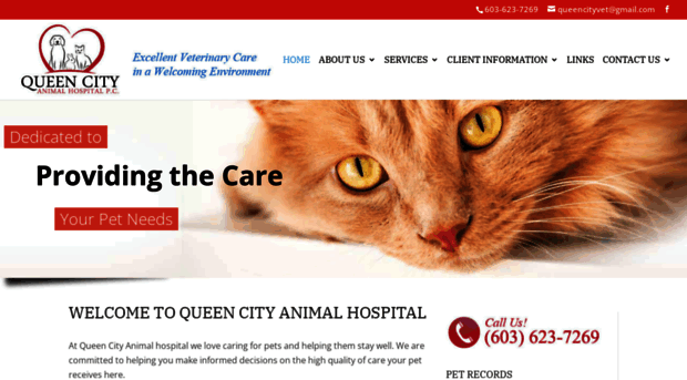 queencityvet.com