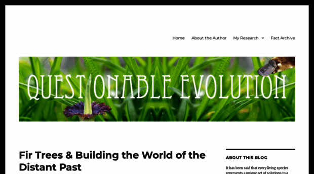 questionableevolution.com