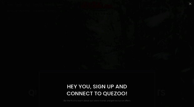 quezoo.com