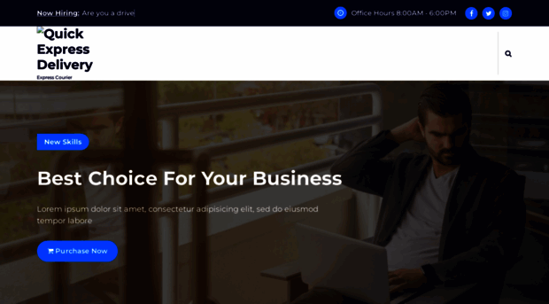 quickexpressdelivery.net
